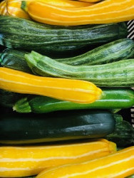 COURGETTE BIO