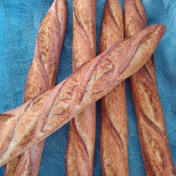 BAGUETTE 100% LEVAIN