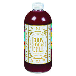 KOMBUCHA CHÊNE RAISIN BIO 1L