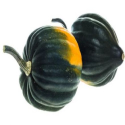 COURGE POIVRÉ BIO