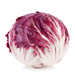 RADICCHIO BIO