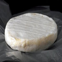 CHEVRE LE CHEVRONNÉ