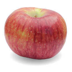 POMME CORTLAND BIO 2LB